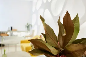 Hotel Suite Generis - Reception