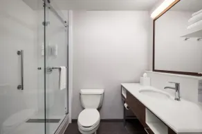 Hampton Inn Majestic Chicago Theatre District - Bathroom