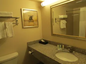 Quality Inn Evanston near Wyoming Downs - Salle de bain