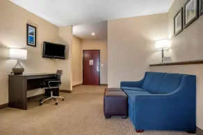 Comfort Suites Mobile West Tillmans Corner - Chambre