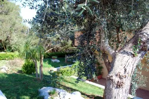 Residence Le Conchiglie - Quarto