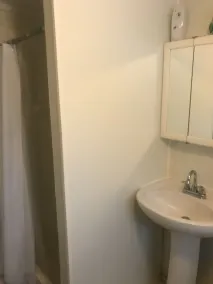 Historic White Blossom House - Salle de bain