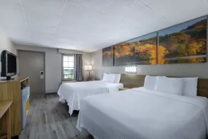 Days Inn by Wyndham Lincolnton - Rum