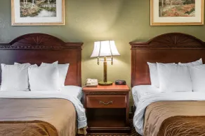 Quality Inn & Suites Ann Arbor Hwy 23 - Chambre