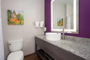 La Quinta by Wyndham Springfield IL - Badezimmer