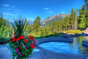 The Hidden Ridge Resort - Piscine