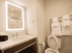 The Albion Summit - Salle de bain