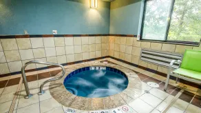Holiday Inn Express & Suites - Olathe South by IHG - Piscine