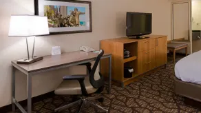 Holiday Inn Hotel & Suites Warren by IHG - Rum