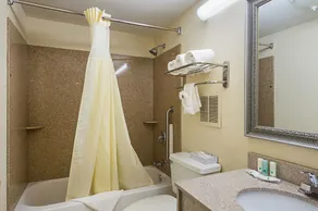 Quality Inn & Suites Greenville - Haywood Mall - Bathroom
