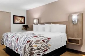 Red Roof Inn Harrisburg North - Room