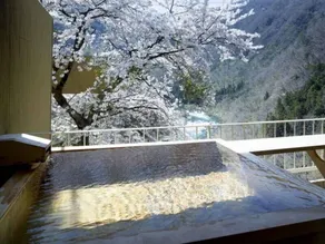 Aizu Ashinomaki Onsen Bekkan Kawane - Banheiro