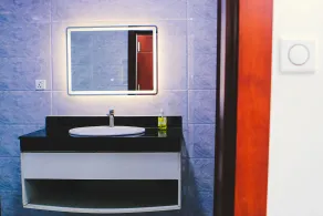 The Glass Residence  - Salle de bain