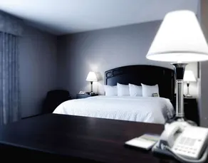 Hampton Inn & Suites by Hilton Edmonton Intl Airport - Chambre