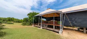 Kodev - Reception