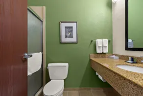 Sleep Inn & Suites near Joint Base Andrews-Washington Area - Salle de bain