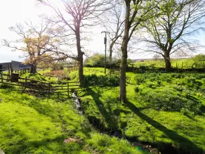 Mill Dam Farm Cottage - Pool