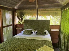Otorongo Guest House - Room