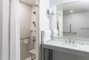 Hilton Garden Inn Ardmore - Badrum