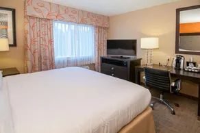 Holiday Inn Hotel & Suites Slidell by IHG - Chambre