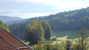 Landhotel GrünWies -Bonsai-Wellness Garni - View from room