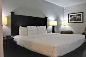 Best Western Paramus Hotel & Suites - Chambre