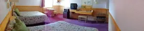 Alpine Motel of Cooke City - Room