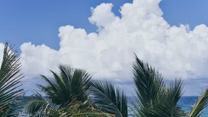 Tideline Palm Beach Ocean Resort and Spa - Vue de la chambre