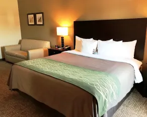 Comfort Inn & Suites Porter near Indiana Dunes - Chambre