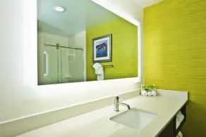 Holiday Inn Express Hotel & Suites Ann Arbor West by IHG - Salle de bain