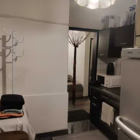 Charming 35m² Apartment in Vienna's Heart - Cucina privata
