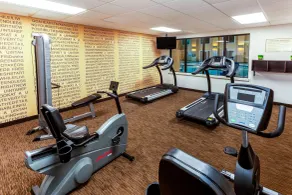 La Quinta by Wyndham Milwaukee Bayshore Area - Fitness facility