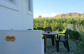 The Dalaman Suites & Pansiyon Dalaman Airport 10 km - Reception