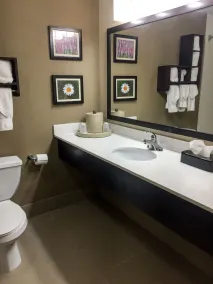 Comfort Suites Regency Park - Salle de bain