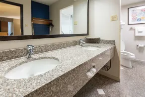 Drury Inn & Suites St. Louis Airport - Salle de bain