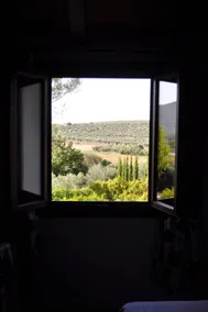 Rural La Paloma - Udsigt fra værelset