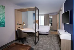 SpringHill Suites by Marriott Wixom Novi - Room