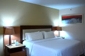 Holiday Inn Guadalajara Select by IHG - Chambre