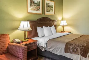 Quality Inn & Suites Ann Arbor Hwy 23 - Chambre