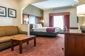 Comfort Suites Columbus Expo Center - Chambre