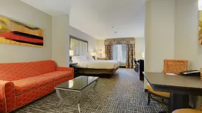 Holiday Inn Express & Suites Gonzales by IHG - Rom