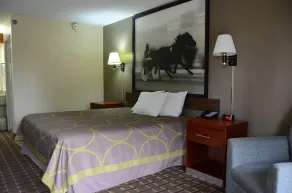 Super 8 by Wyndham Franklin Hwy 31 - Chambre