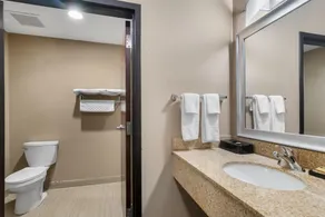 Best Western Plus Hiawatha Hotel - Badrum