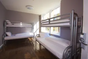 Albatross Hostel - Room