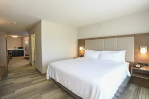 Holiday Inn Express Hotel & Suites Richwood - Cincinnati South by IHG - Chambre