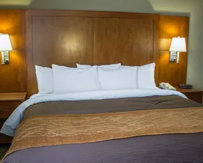 Comfort Inn Alliance - Chambre
