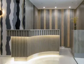 Phidias Piraeus Hotel - Réception