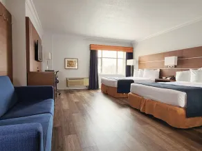 Hotel L'Oie des neiges - Vue de la chambre