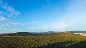 Quivira Los Cabos Condos and Homes -Vacation Rentals - Vista dalla camera