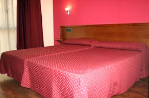Hotel Virgen de Covadonga - Chambre